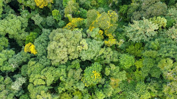 Designs Innovants en clôture composite : Tendances et inspirations