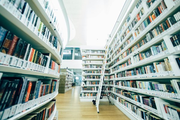 L'échelle bibliothèque idéale : Sélection, sécurité et astuces d'aménagement