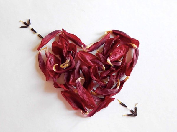 Les Bijoux de Couple : Une Élégante Déclaration d'Amour