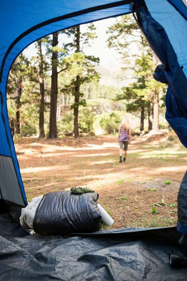 Comment découvrir la faune et la flore locales en camping à Fréjus ?