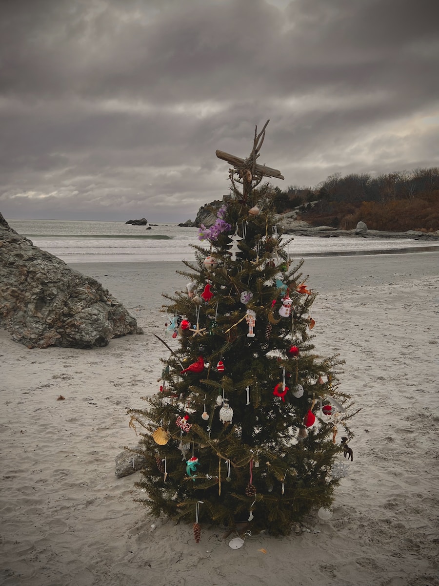 a small christmas tree on a sandy beach